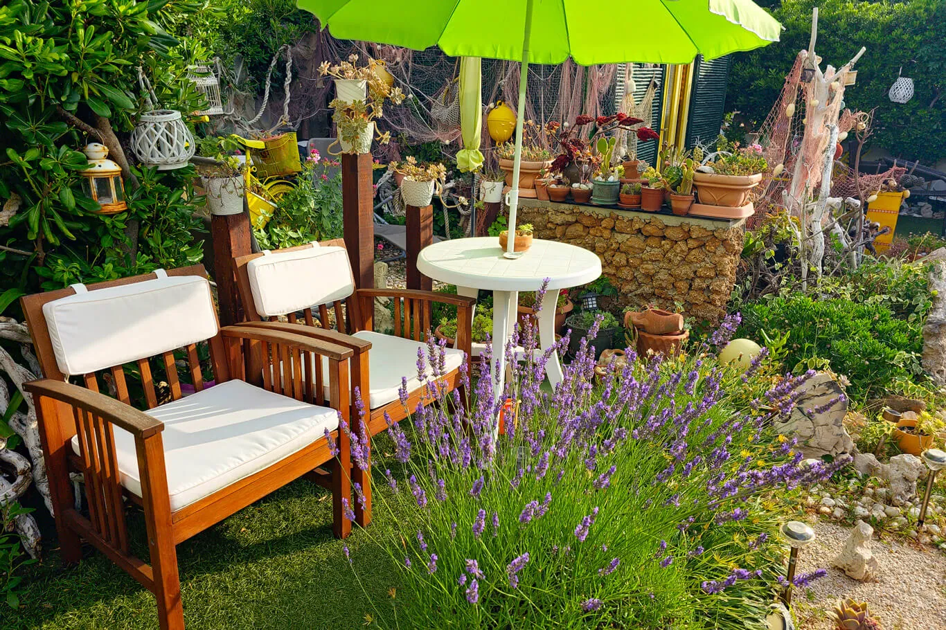 Lavender in bloom beside a green umbrella and stone wall